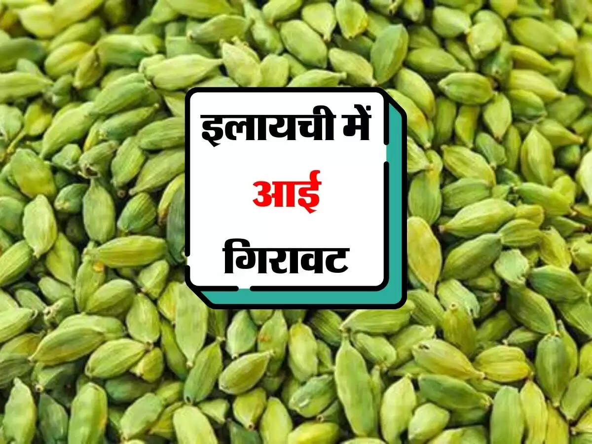 इलायची में आई गिरावट, काजू, मगज स्थिर, जानिए किराना भाव