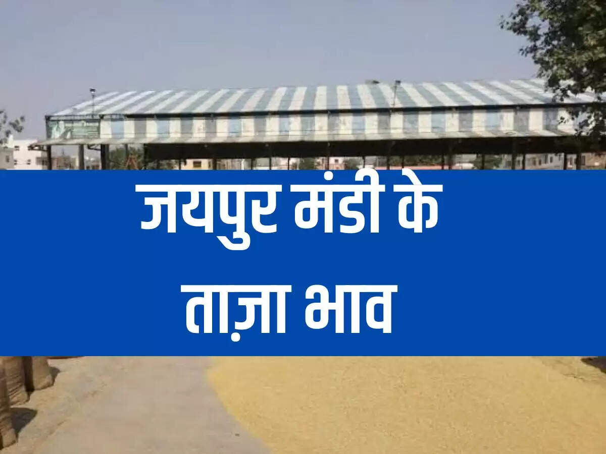 Jaipur Mandi bhav