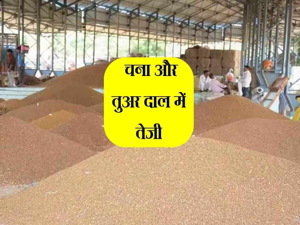 चने की मांग कमजोर, मूंग दाल में मिलर्स की खरीद सीमित, चना और तुअर दाल में तेजी
