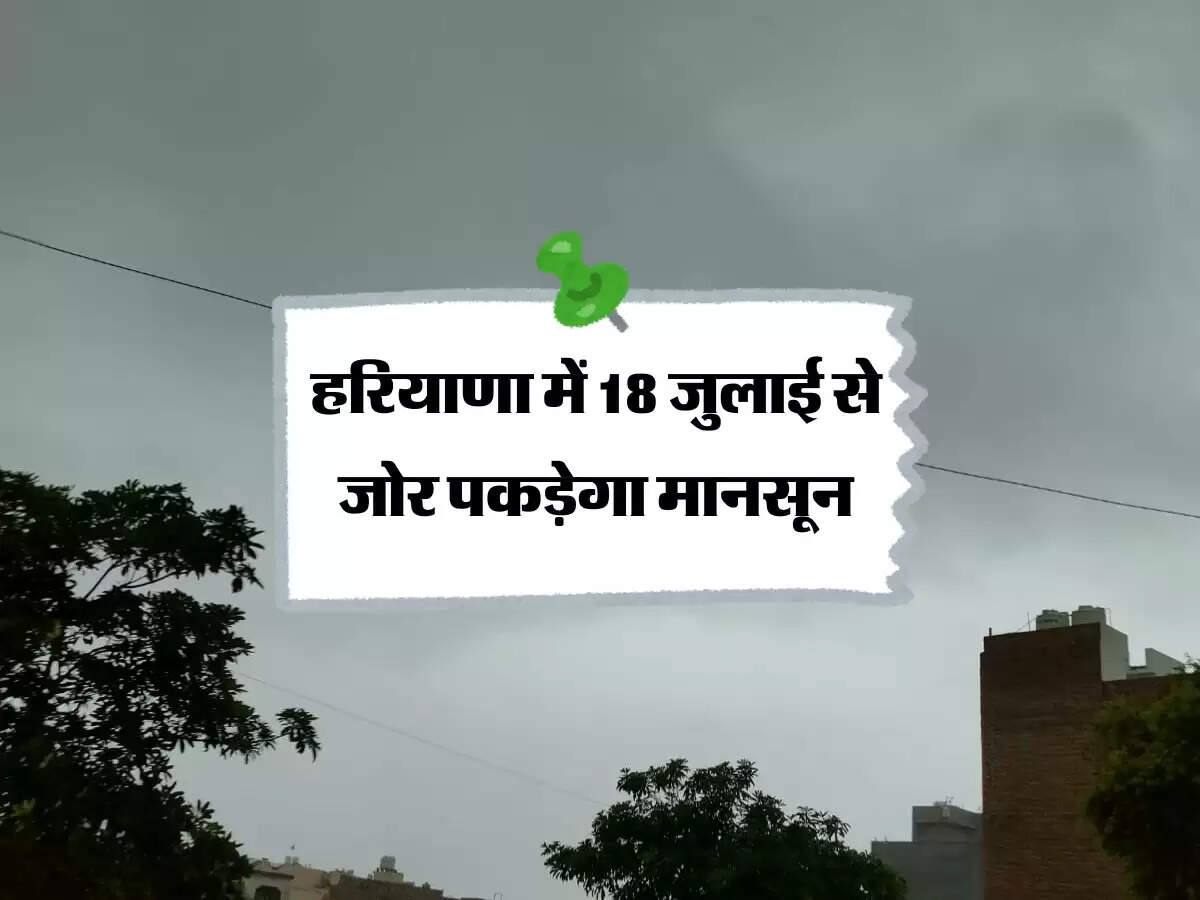 हरियाणा में 18 जुलाई से जोर पकड़ेगा मानसून, इन जिलों में हुई सामान्य से कम बारिश