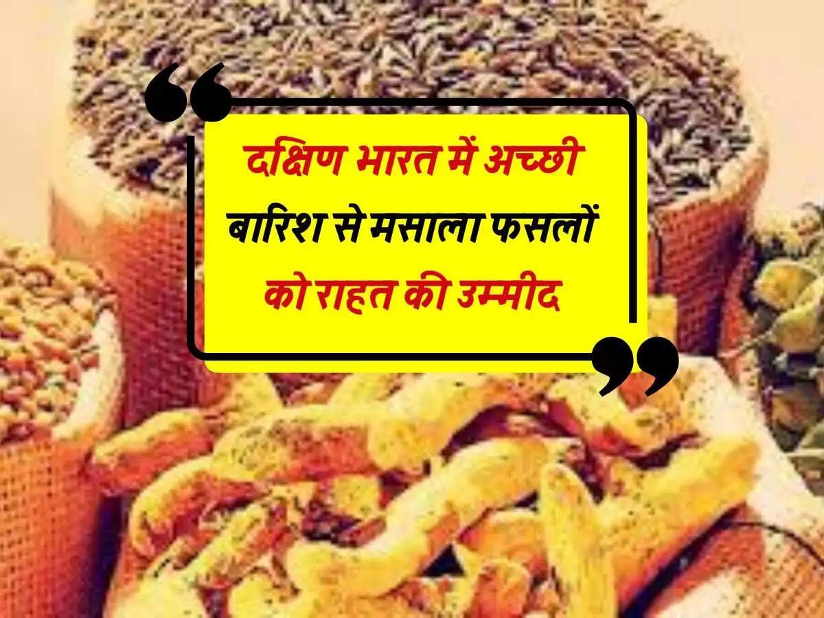 दक्षिण भारत में अच्छी बारिश से मसाला फसलों को राहत की उम्मीद