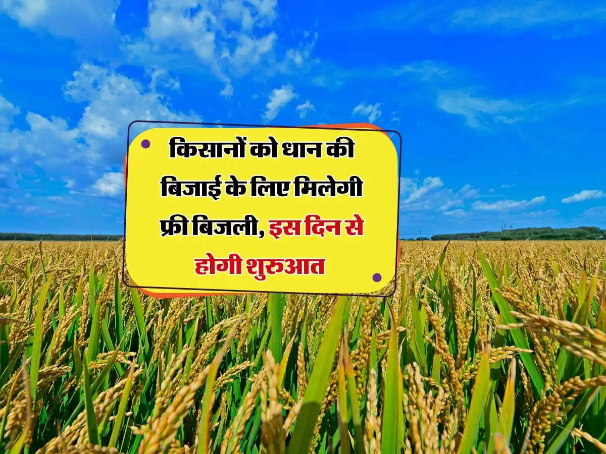 किसानों को धान की बिजाई के लिए मिलेगी फ्री बिजली, इस दिन से होगी शुरुआत