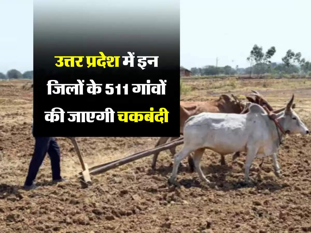 उत्तर प्रदेश में इन जिलों के 511 गांवों की जाएगी चकबंदी, जारी किए गए आदेश