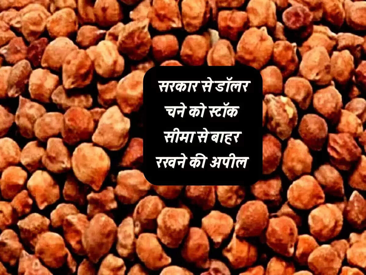 MP News : सरकार से डॉलर चने को स्टॉक सीमा से बाहर रखने की अपील