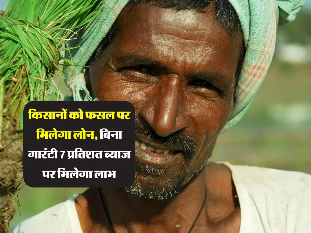 किसानों को फसल पर मिलेगा लोन, बिना गारंटी 7 प्रतिशत ब्याज पर मिलेगा लाभ
