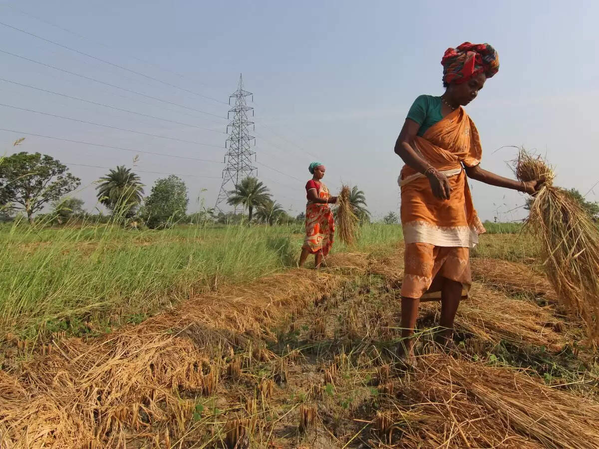 UP Kisan Uday Yojana