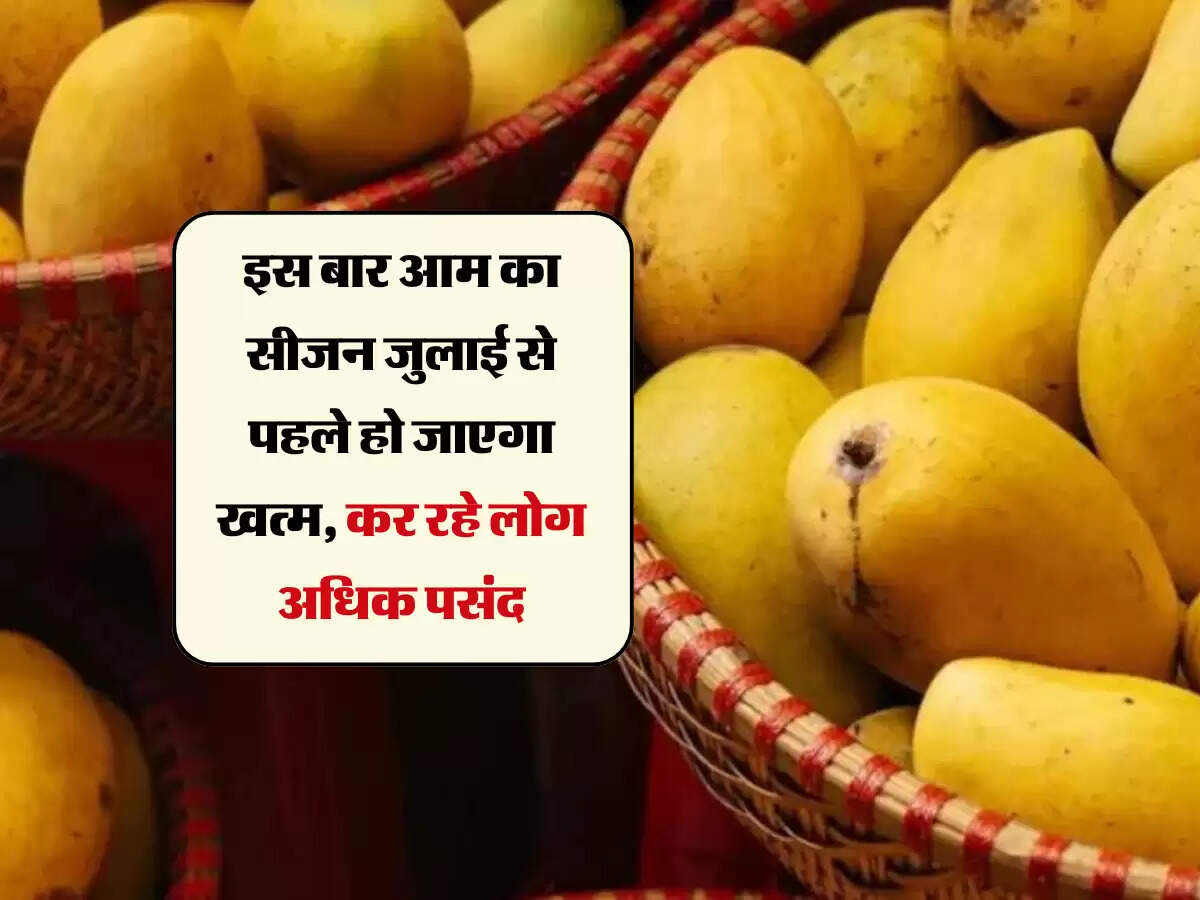 इस बार आम का सीजन जुलाई से पहले हो जाएगा खत्म, कर रहे लोग अधिक पसंद