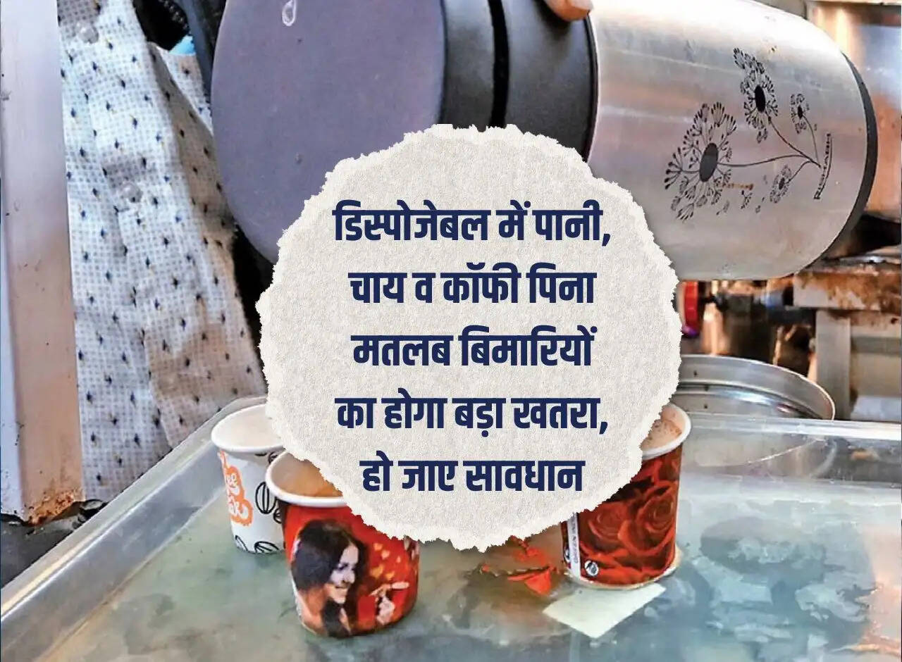 disposable meaning in hindi