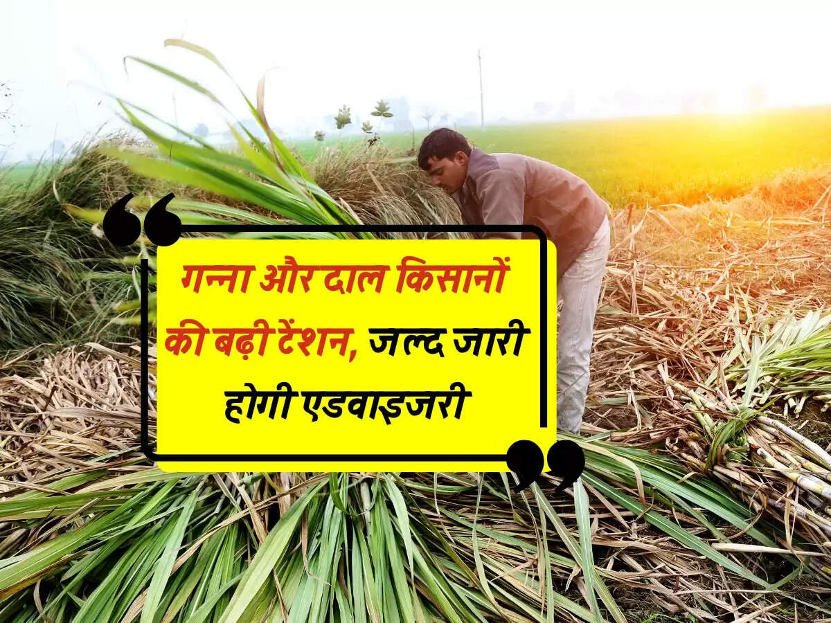 गन्ना और दाल किसानों की बढ़ी टेंशन, जल्द जारी होगी एडवाइजरी&nbsp;