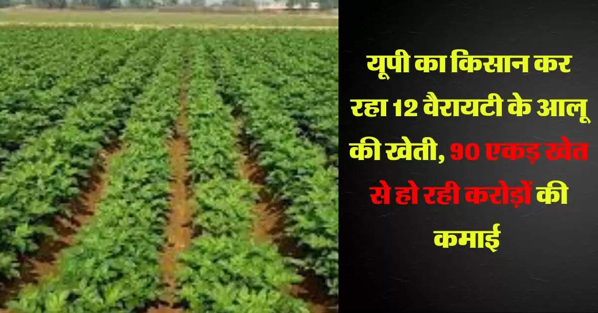 यूपी का किसान कर रहा 12 वैरायटी के आलू की खेती, 90 एकड़ खेत से हो रही करोड़ों की कमाई 