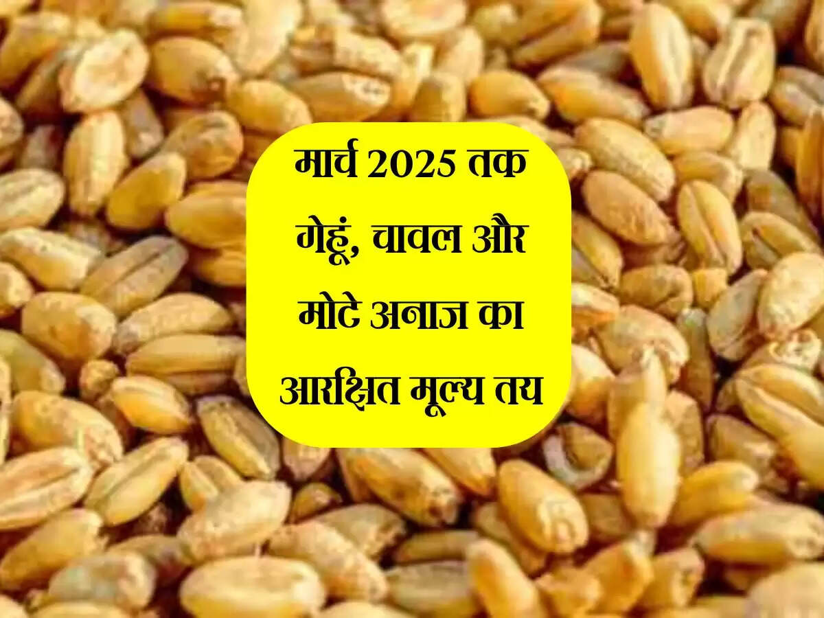 मार्च 2025 तक गेहूं, चावल और मोटे अनाज का आरक्षित मूल्य तय