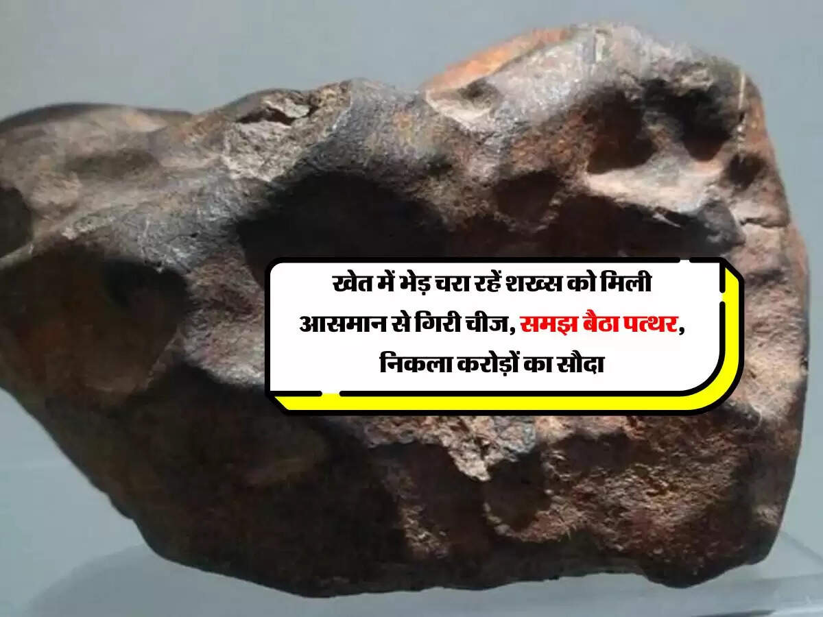 खेत में भेड़ चरा रहें शख्स को मिली आसमान से गिरी चीज, समझ बैठा पत्थर, निकला करोड़ों का सौदा