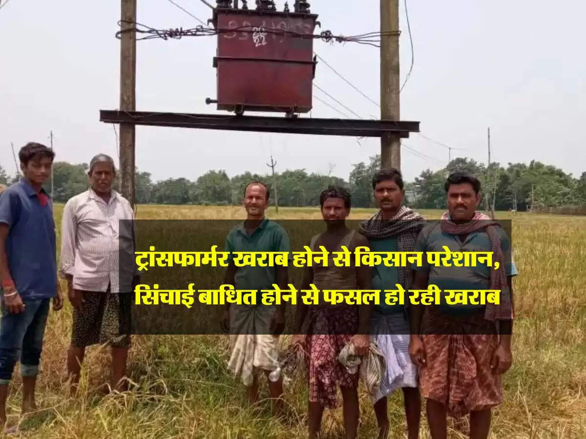 ट्रांसफार्मर खराब होने से किसान परेशान, सिंचाई बाधित होने से फसल हो रही खराब