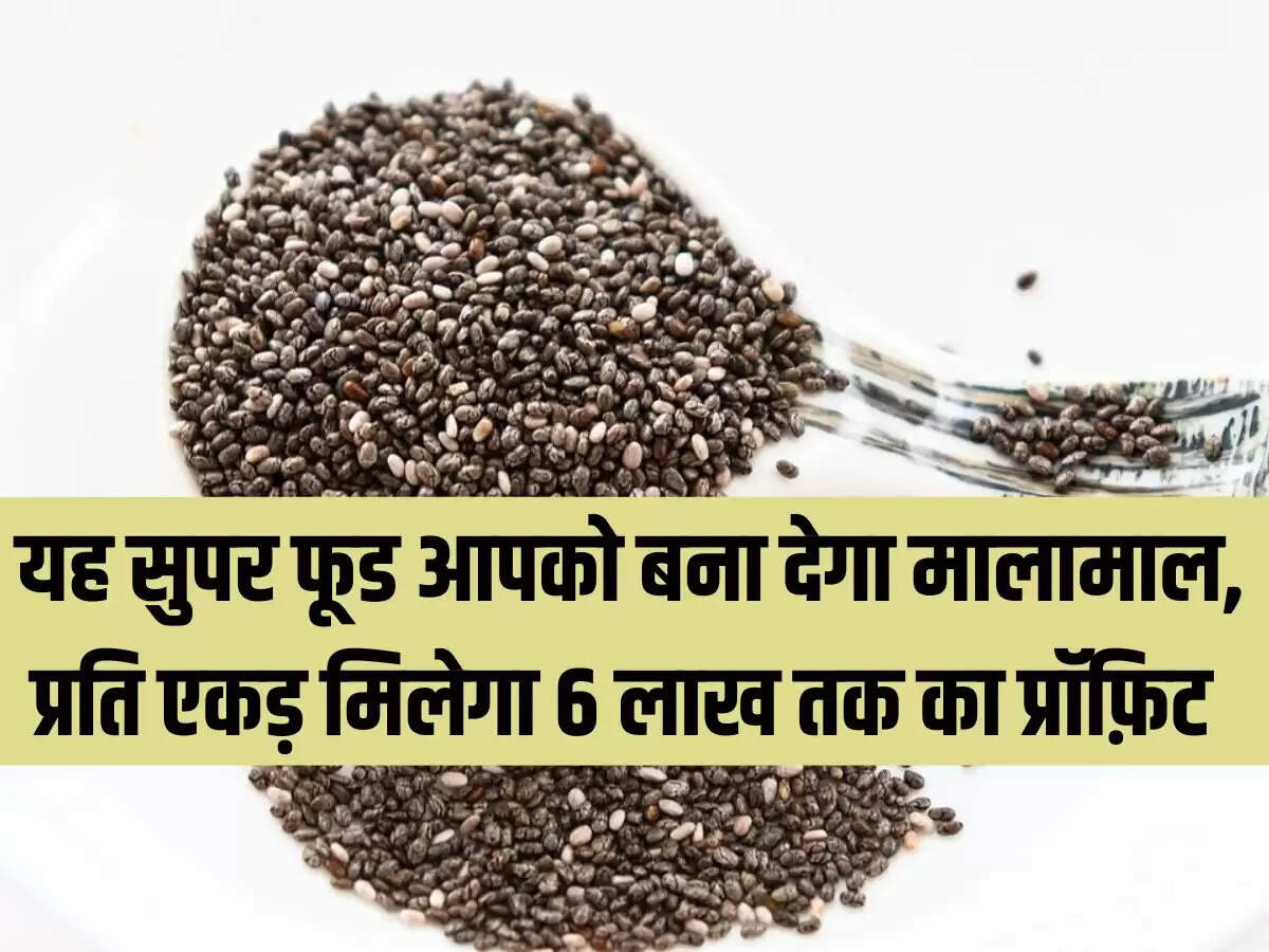 यह सुपर फूड आपको बना देगा मालामाल, प्रति एकड़ मिलेगा 6 लाख तक का प्रॉफ़िट