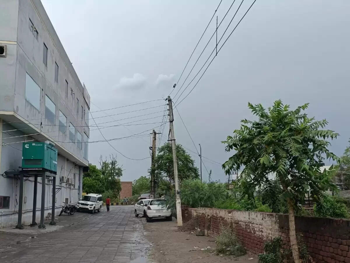 हरियाणा के सिरसा सहित 9 जिलों में बारिश, मुक्तसर में बारिश से मकान की छत गिरी