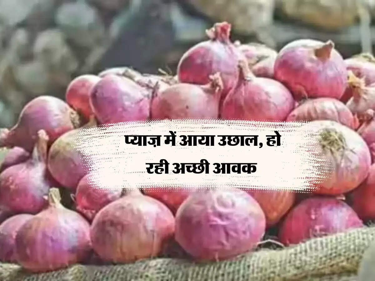 Potato Onion Market Price: प्याज़ में आया उछाल, हो रही अच्छी आवक