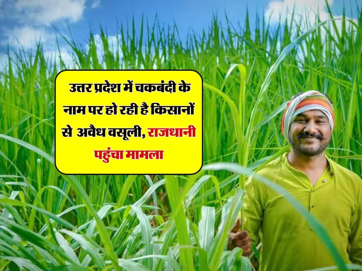 UP Chakbandi: उत्तर प्रदेश में चकबंदी के नाम पर हो रही है किसानों से अवैध वसूली, राजधानी पहुंचा मामला