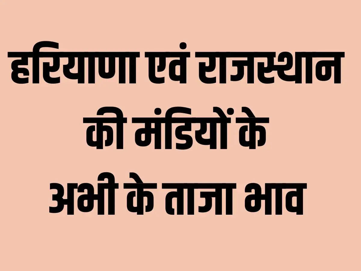 Mandi price 7 November 2023: Rates of cotton, paddy, millet, sesame, jowar, mustard, gram, guar, narma, moong, moth, sesame etc.
